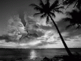 /album/amor/imagenes-de-amor-con-movimiento-8-gif/